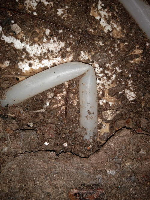 延吉堵点精准查找